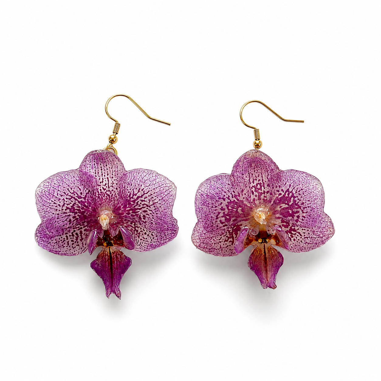 Brincos Íris - Orquídea preservada