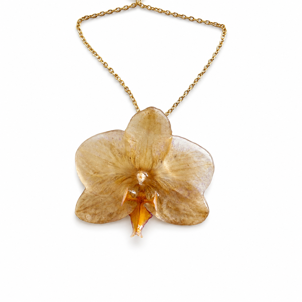 Colar Aurora - Orquídea preservada
