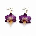 Brincos Leonor - Orquídea preservada