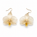 Brincos Marfim - Orquídea preservada