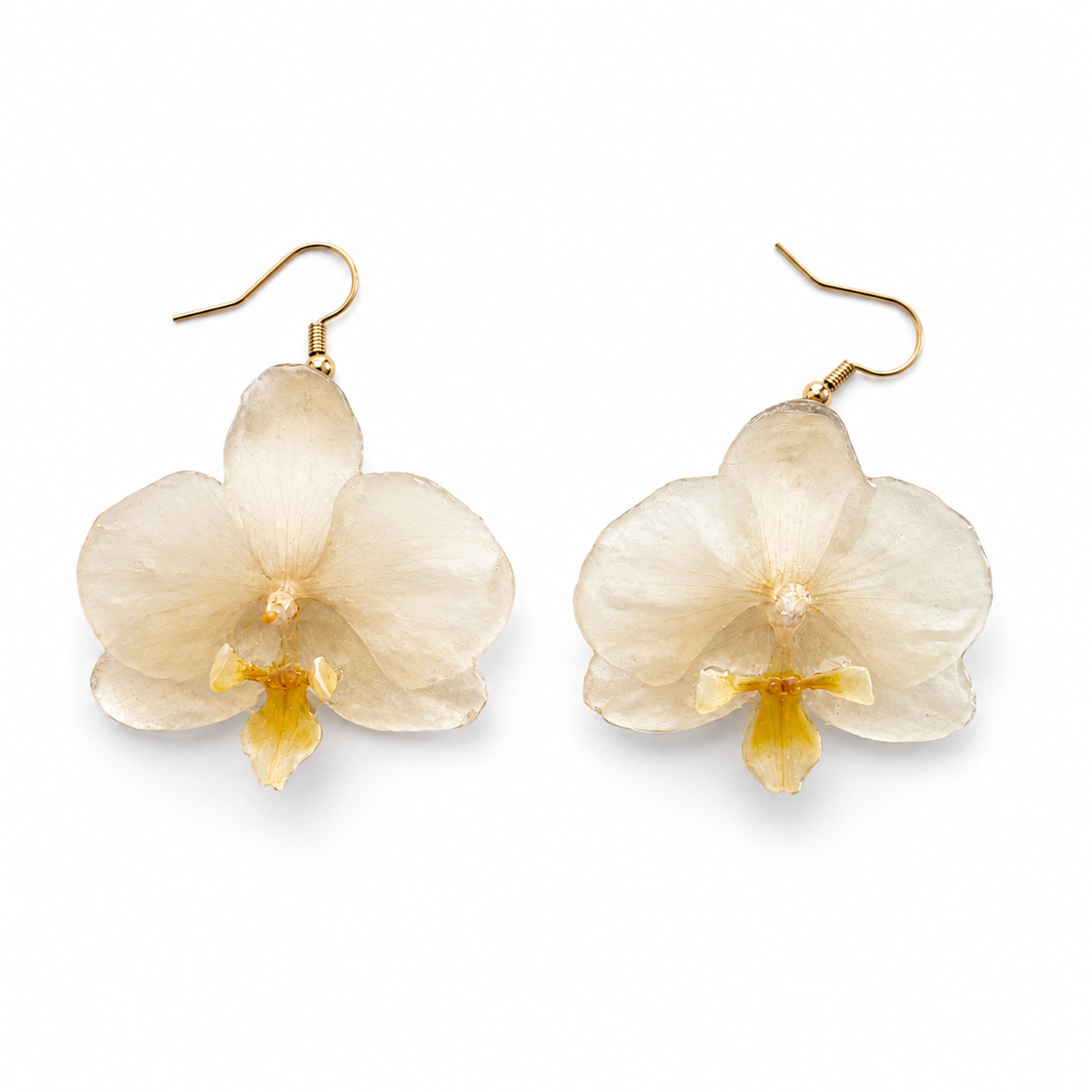 Brincos Marfim - Orquídea preservada