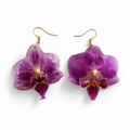 Brincos Malva - Orquídea preservada
