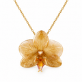 Colar Aurora - Orquídea preservada