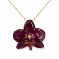 Colar Amora – Orquídea preservada