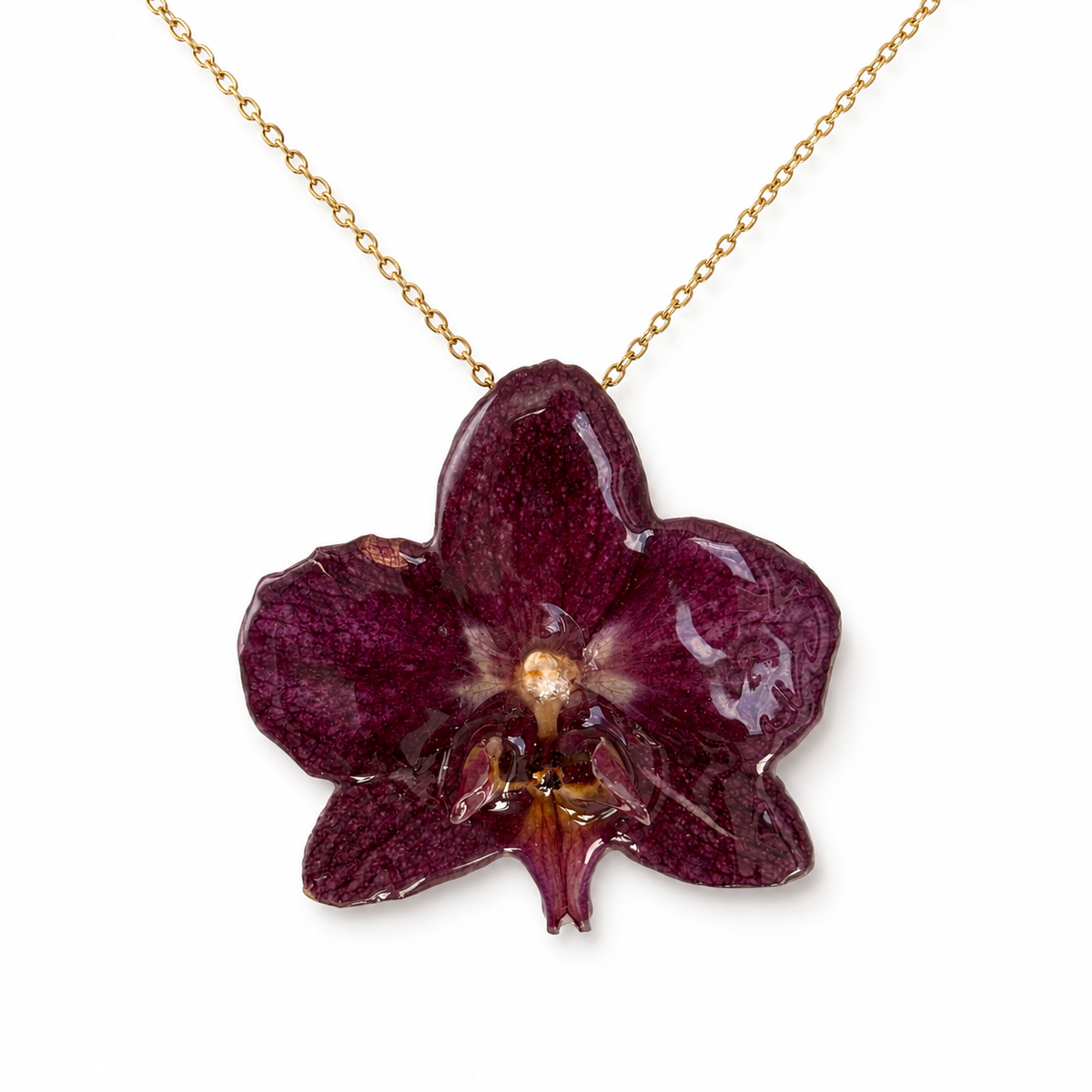 Colar Amora – Orquídea preservada