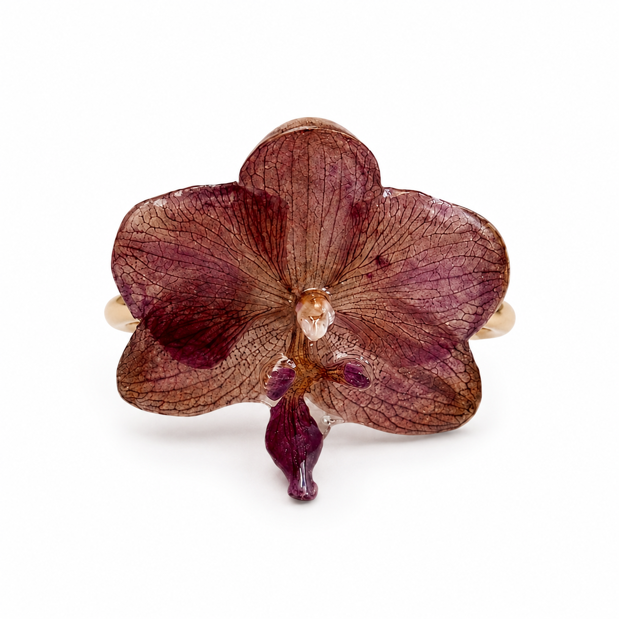 Anel Solange – Orquídea preservada